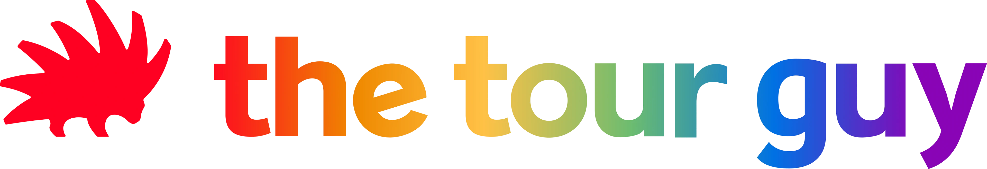The Tour Guy